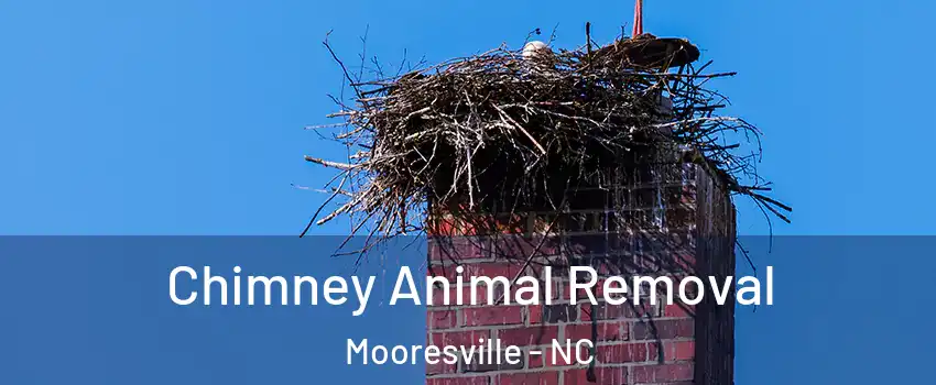  Chimney Animal Removal Mooresville - NC