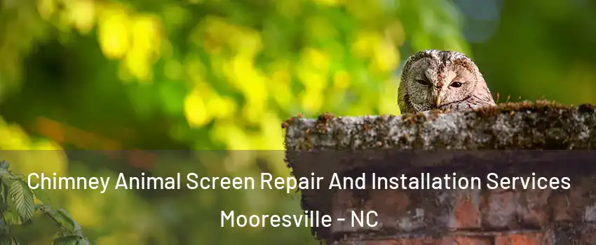  Chimney Animal Screen Repair And Installation Services Mooresville - NC