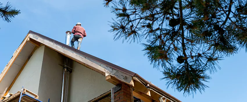 Birds Removal Contractors from Chimney in Mooresville, NC
