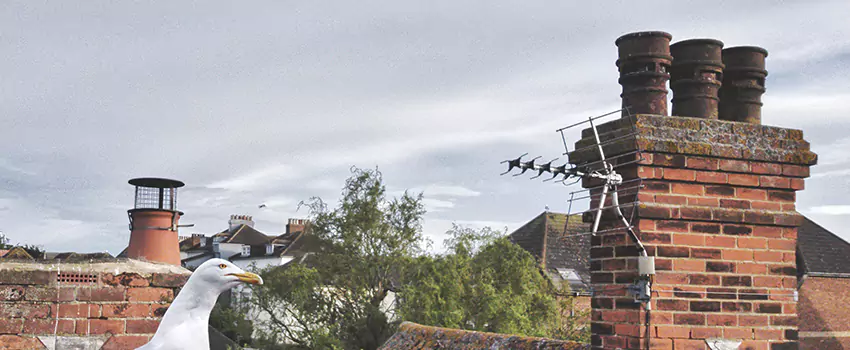 Chimney Cleaning And Restoration in Mooresville, North Carolina