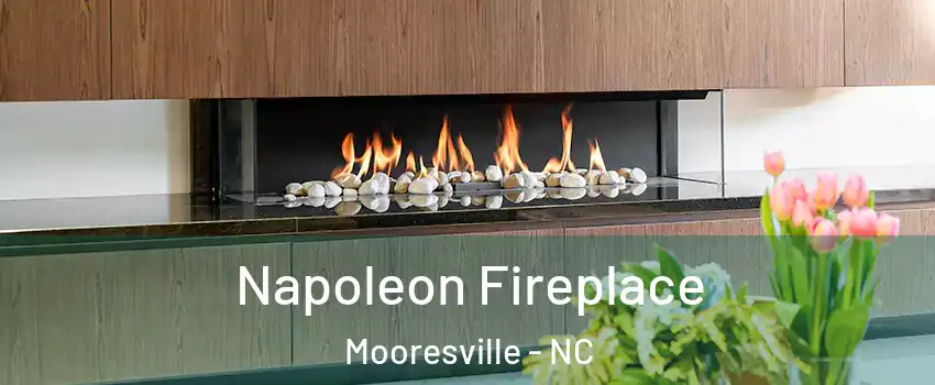  Napoleon Fireplace Mooresville - NC